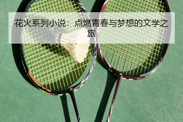 花火系列小说:点燃青春与梦想的文学之旅